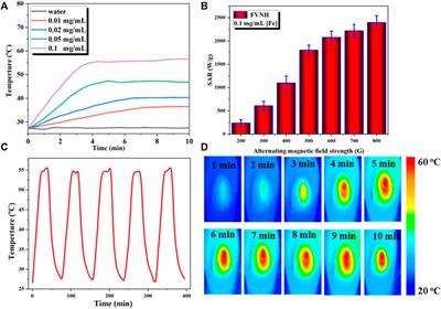 Interfacial engineered iron oxide nanoring for T2-weighted magnetic resonance imaging-guided magnetothermal-chemotherapy